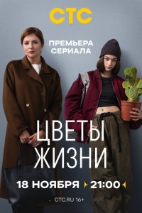 Скачать через торрент Цветы жизни