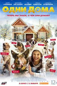 Одни дома  с помощью торрента