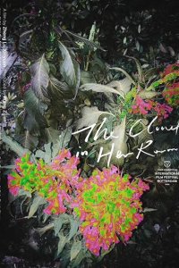 Скачать через торрент Облако в её комнате 