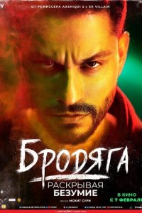 Скачать через торрент Бродяга: Раскрывая безумие 