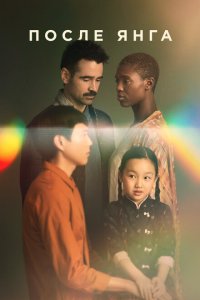 После Янга  с помощью торрента