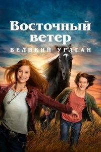 Скачать через торрент Восточный ветер. Великий ураган 
