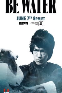 Скачать через торрент Будь водой 