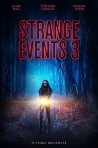 Скачать через торрент Странные дела 3 