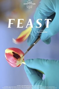 Скачать через торрент Пир 