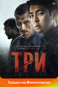 Скачать через торрент Три 