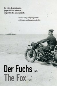 Лиса  с помощью торрента