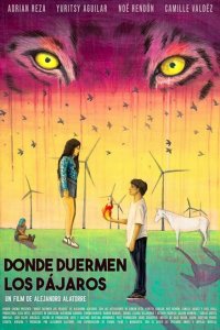 Скачать через торрент Там, где спят птицы 