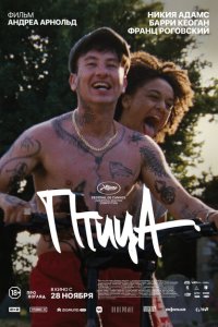 Птица  с помощью торрента