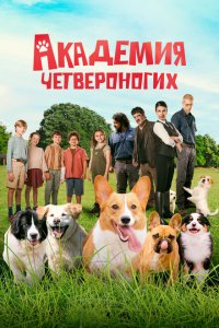 Скачать через торрент Академия четвероногих 