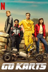 Скачать через торрент Картинг 