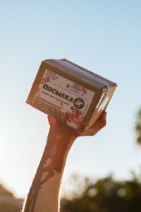 Скачать через торрент Посылка 